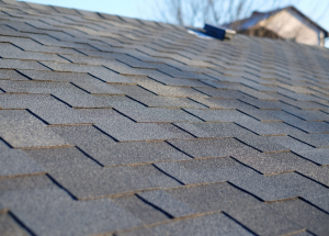 roof shingles during a roof inspection