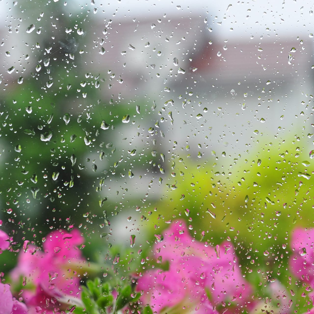 caring-for-your-roof-in-maryland-weather